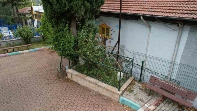 Osmanlı’nın önemli aliminin kabri, yalnızlığa terk edildi
