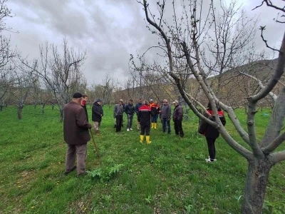 Otlukbeli&rsquo;nde &uuml;reticilere meyve ağa&ccedil;larında budama eğitimi
