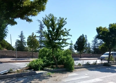 Otomobil takla attı: 1 yaralı
