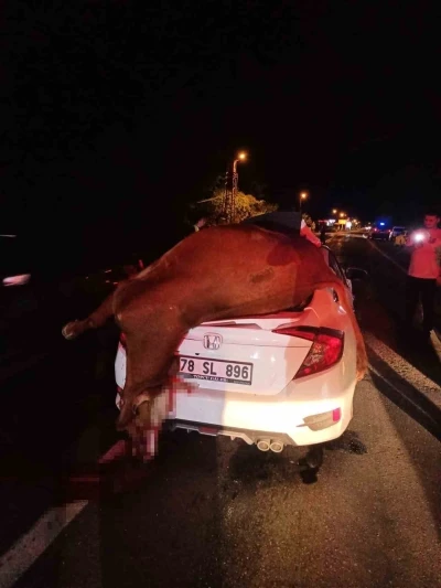 Otomobilin çarptığı inek telef oldu
