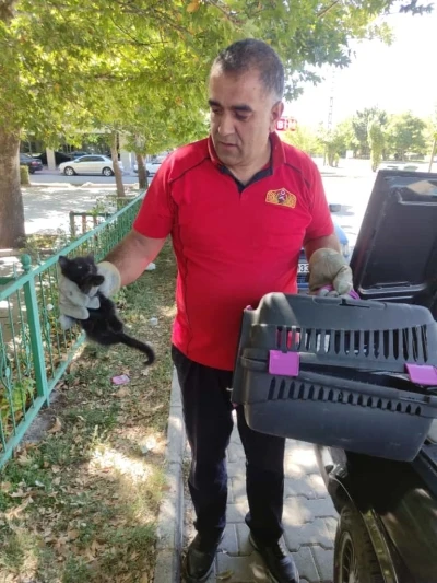 Otomobilin kaputuna sıkışan kedi kurtarıldı
