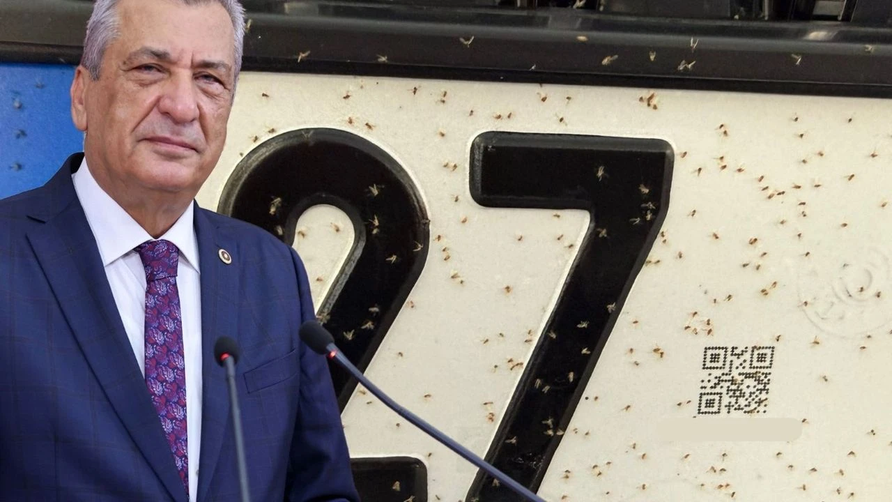 Öztürkmen, Üvez İstilasını Meclis’e Taşıdı: Belediyeler Geç kaldı