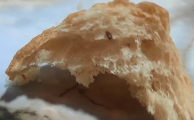 Pamukkale Halk Ekmek’in içerisinden çıkan fare dışkısı ve un kurdu yeni doğum yapan anneyi sütten kesti
