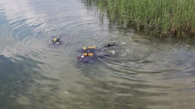 Pamuksu oluşumun sırrı &ccedil;&ouml;z&uuml;ld&uuml;: Sapanca G&ouml;l&uuml;&rsquo;ndeki beyaz tabaka alg &ccedil;ıktı
