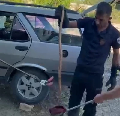Park halindeki otomobile giren yılan paniğe neden oldu
