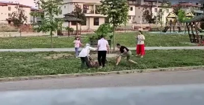 Parkta dolaştırılan k&ouml;peğe saldıran başıboş k&ouml;pek, doktor tarafından etkisiz hale getirildi
