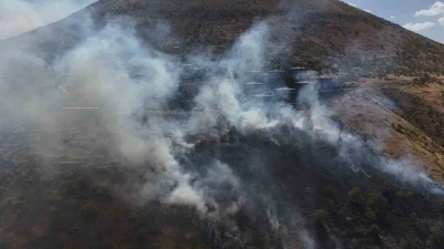 Patlıcan közlerken ormanı yaktılar
