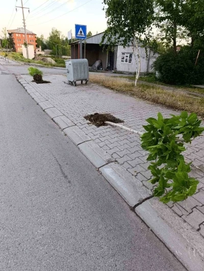Patnos&rsquo;ta yeni dikilen 15 ağaca zarar verildi
