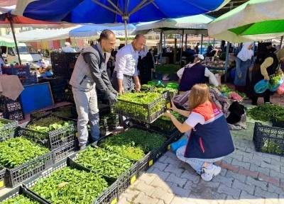 Pazarlarda satılan tohum ve fideler kontrol edildi
