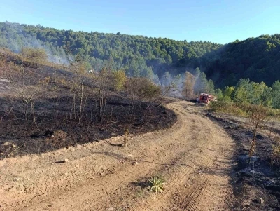 Pazaryeri Bozcaarmut’ta orman yangını
