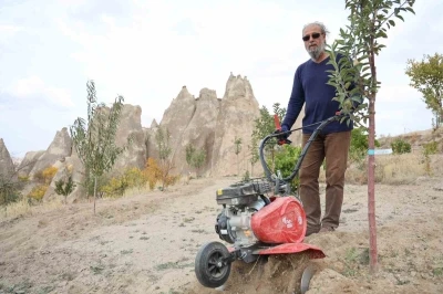 Peribacalarını ağaçlarla güzelleştiriyorlar
