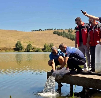 Perşembe Yaylası Göleti’ne 14 bin 240 sazan balığı bırakıldı
