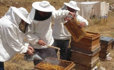 Petekler balla doldu: Sıfır rakımda başlayan sezon 2 bin rakımda Eğriçayır’da sona erdi
