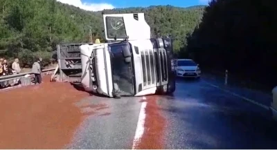 Peyzaj malzemesi y&uuml;kl&uuml; tır devrildi
