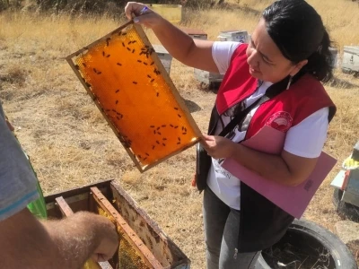 Pınarhisar’da arılı kovan tespit çalışması yapıldı
