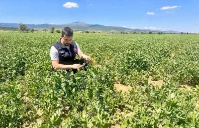 Planlı tarımsal &uuml;retim i&ccedil;in saha &ccedil;alışmaları s&uuml;r&uuml;yor
