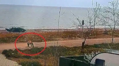 Polisten ka&ccedil;an 16 yıllık h&uuml;k&uuml;ml&uuml; yere d&uuml;ş&uuml;nce yakalandı
