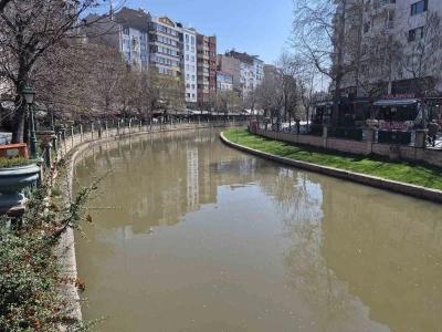 Porsuk &Ccedil;ayı kahverengine b&uuml;r&uuml;nd&uuml;
