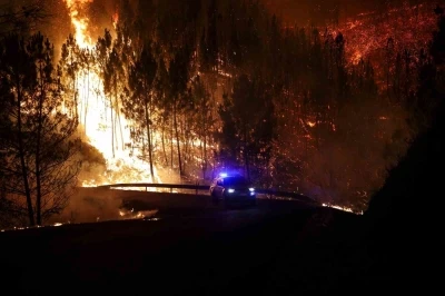 Portekiz’de orman yangınında ölü sayısı 3’e yükseldi
