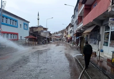 Posof&rsquo;ta bahar temizliği
