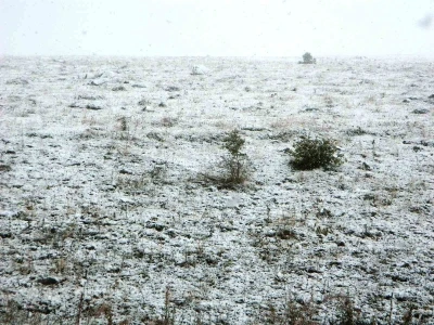 Posof’ta kar yağışı
