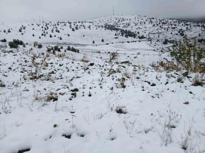 Posof’ta kar yağışı etkili oldu
