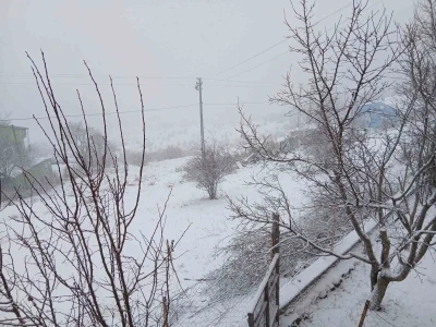 Posof’ta kar yağışı etkili oluyor
