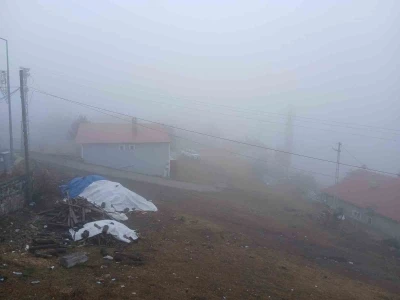Posof’ta yoğun sis etkiliyor oluyor
