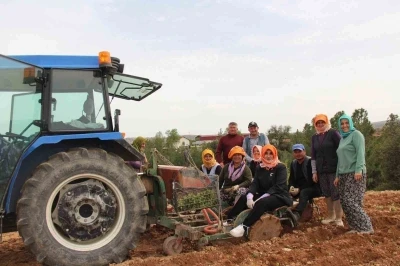 Poşusunu takan Kaymakam Kuran &uuml;reticilerle birlikte kekik dikti
