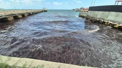 Poyraz kızıl yosun getirdi
