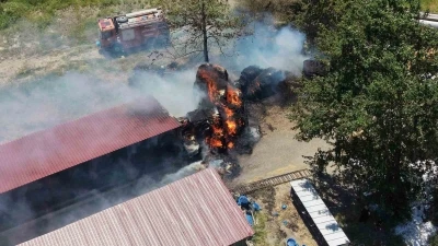 Pozantı&rsquo;da hayvan &ccedil;iftliğinde &ccedil;ıkan yangın paniğe neden oldu
