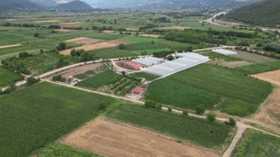 Prof. Dr. Gerçekçioğlu: &quot;Kış bahar oldu; dona dayanan meyve türleri araştırılmalı&quot;
