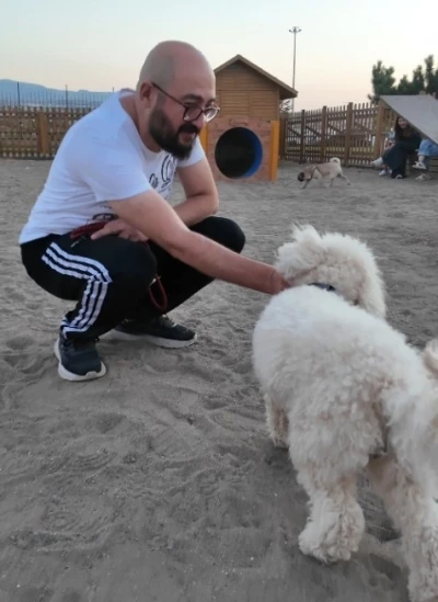 Proteo Köpek Eğitim Parkuru’na tam not
