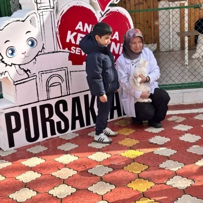 Pursaklar&rsquo;da &ouml;ğrencilerden kedi evine ziyaret
