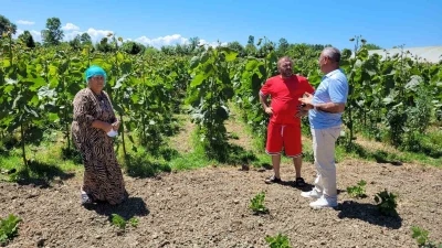 "Dron ile &ccedil;eltik ila&ccedil;laması" tartışması: "Mahsullerimiz yanıyor"
