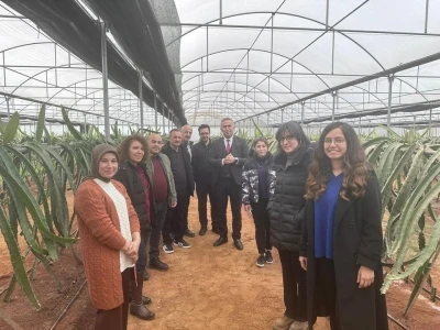 "Efeler&rsquo;de Pitaya G&uuml;&ccedil;leniyor" projesi incelendi
