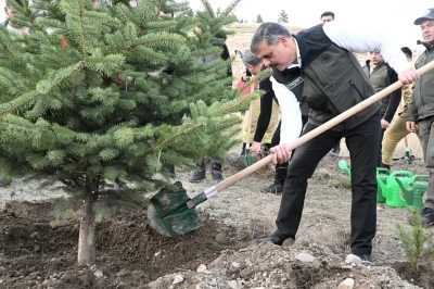 &quot;Hastaya kan, ormana can&quot;
