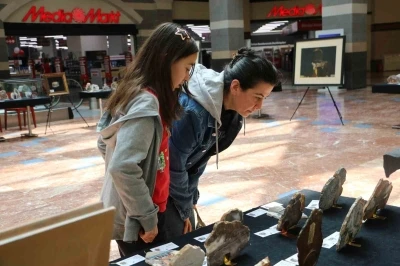 "İl İl T&uuml;rkiye Sergisi" Diyarbakır&rsquo;da sanatseverlerle buluştu

