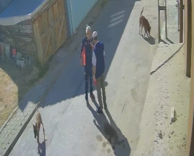 &quot;Köpeklerimi sen mi şikayet ettin&quot; diyerek yaşlı adamı tekme tokat dövdü
