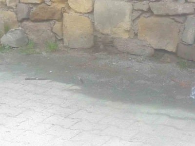 &quot;Seni Kastamonu’da gezdirmem&quot; sözü tahrik sayıldı: 1 kişiyi bıçaklayan baba-oğula indirimli ceza
