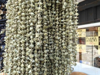 Ramazan&rsquo;ın g&ouml;zdesi bamya tezgahlarda
