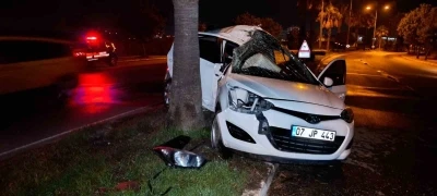 Ref&uuml;jdeki palmiyeye &ccedil;arpan otomobilin s&uuml;r&uuml;c&uuml;s&uuml; yaralandı
