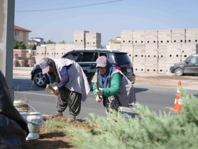 Refüjlerde bakım çalışmaları sürüyor
