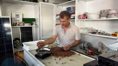 Rekolte düşüklüğü fındık fiyatlarını yükseltti
