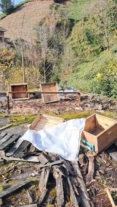 Rize&rsquo;de ayının kovanlarına saldırdığı &uuml;reticiden "Ben şimdi ne edeyim?" tepkisi
