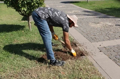 Roma döneminden esinlenildi: Diyarbakır Müzesinde ’Sütunlu Yol’ dönemi başlıyor
