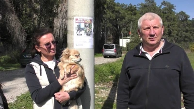Rus sahipleri, kaybolan k&ouml;peklerini sokak sokak arıyor: Canlı bulana 100 bin, &ouml;l&uuml; bulana 10 bin &ouml;d&uuml;l

