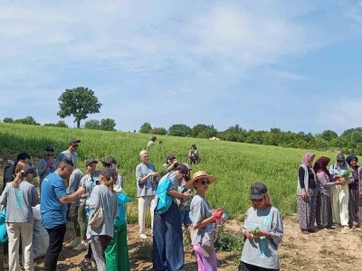 Ruslar, G&ouml;zler&rsquo;de kekik hasadı yaptı
