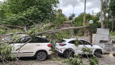 R&uuml;zgarda devrilen ağa&ccedil; park halindeki ara&ccedil;lara zarar verdi
