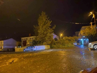 Rüzgarın kökünden söktüğü ağaç otomobilin üzerine devrildi
